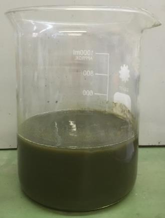 After the sonication process, a well-dispersed stable suspension