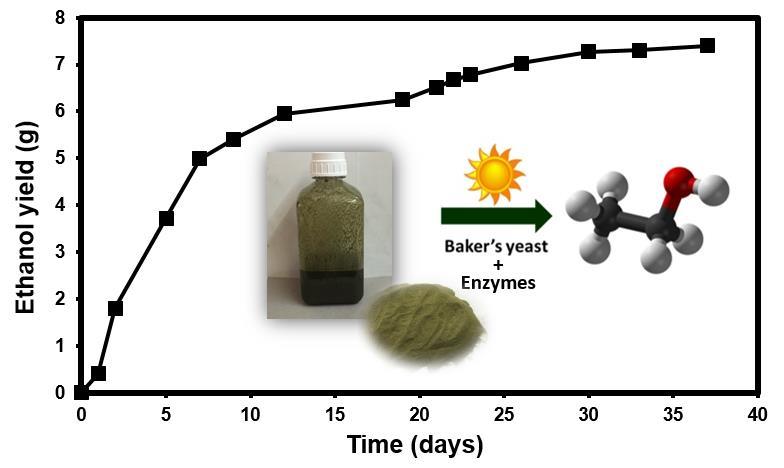 Time on stream studies of solar-energy-driven bioethanol production from continuous-flow SSF of Ulva rigida Fig.