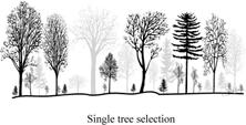 with only larger, economically valuable trees