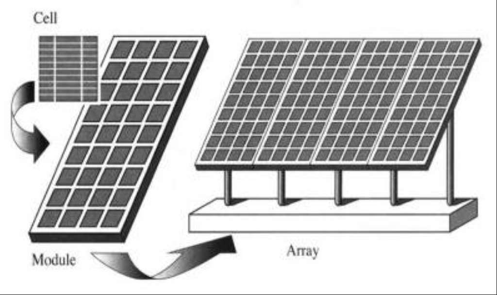 Solar Cell - Panel (Module) -