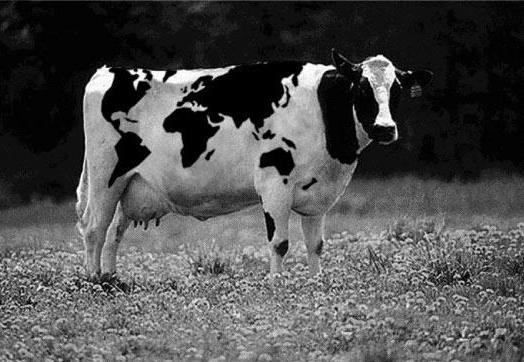 2. Methane is a gas produced when cows belch. Methane is a greenhouse gas. The carbon dioxide equivalent of methane is 21. (a) Identify the correct statement by placing a tick ( ) in the correct box.