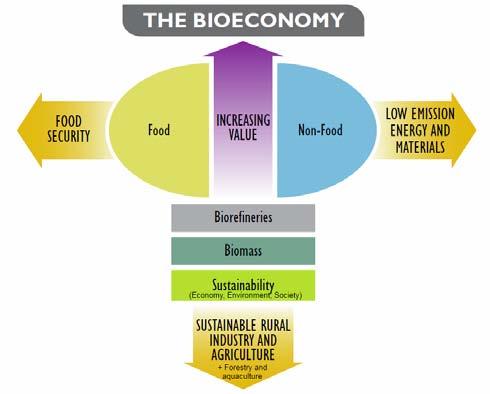 Biorefineries: Heart of the «New Bioeconomy» The development of the biorefineries is fully integrated in the new bioeconomy as defined in the USA as well as in Europe.