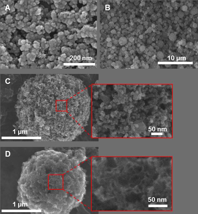 Figure S2. SEM images during the synthesis of po-c.