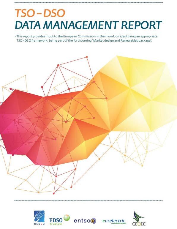 Evolved TSO-DSO data management is required DSO and TSO have agreed on common principles Report by DSO and TSO associations on data management presented to EC Clear need for improved TSO-DSO data
