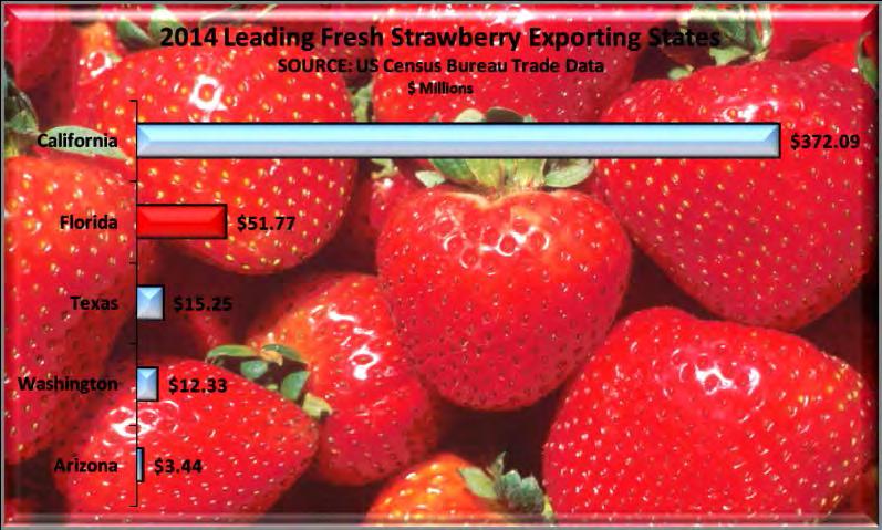 Fresh Strawberries Strawberries were Florida s second leading fruit export in 2014 with a value of $51.8 million, ranking Florida 2 nd behind California in strawberry exports.