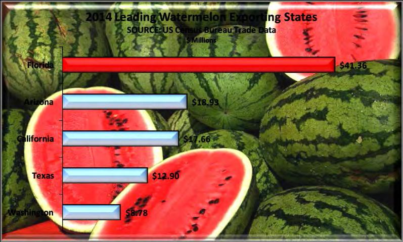 Fresh Watermelons Florida once again led the United States in exports of fresh watermelons. During 2014 Florida exported $41.36 million in watermelons, an increase of 4.
