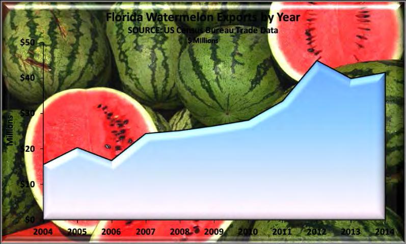 The remaining 1% was spread among The Bahamas, the Cayman Islands, Honduras and the Turks and Caicos Islands. Florida has led the US in watermelon exports for ten of the last eleven years.