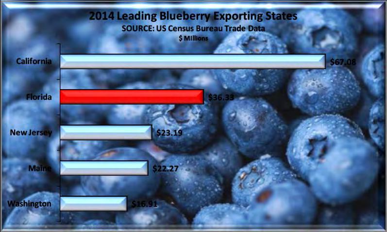 Fresh Blueberries Florida remained 2 nd to California in blueberry exports during 2014. New Jersey, Maine and Washington completed the top 5 states. Florida s share of US exports came to 16.