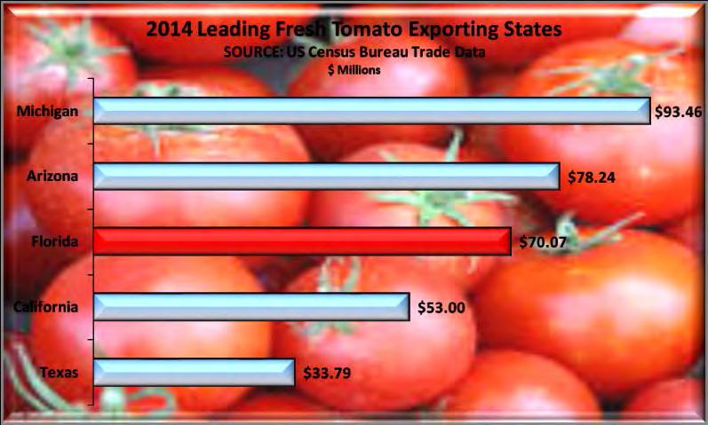 Fresh Tomatoes In 2014 Florida ranked first in the nation in value of fresh market tomatoes produced. Florida ranked third in the nation in the value of fresh tomatoes exported during 2014.
