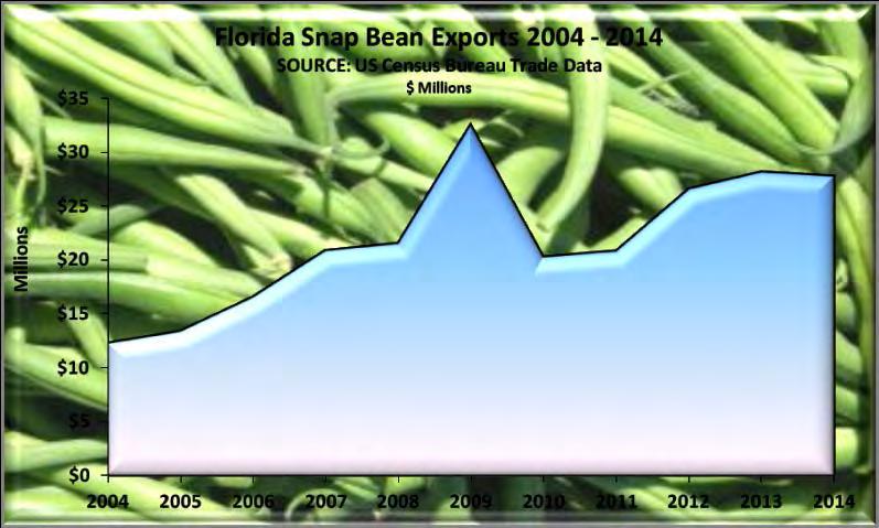 These destinations account for 100% of Florida s snap bean exports.