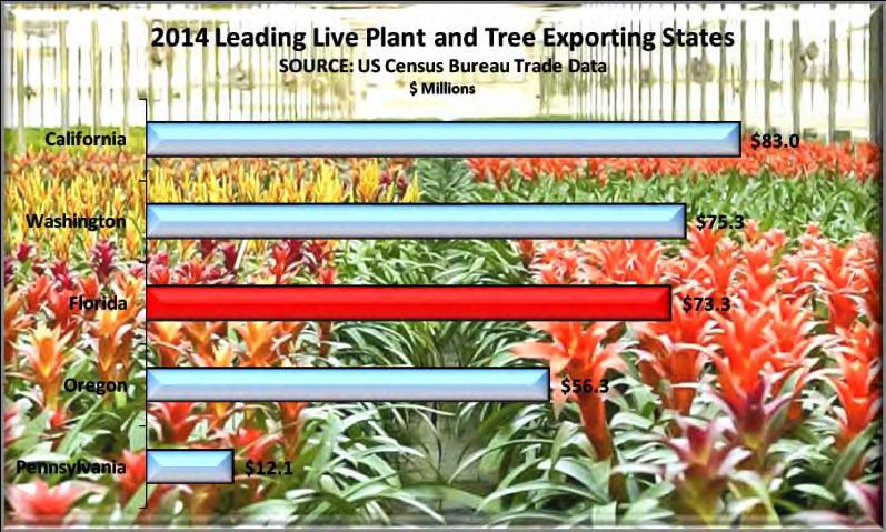 Live Plants and Trees Florida fell to 3 rd among live plant and tree exporting states in 2014. Washington s 3.7% gain put it ahead of Florida.