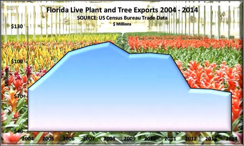 California has led the US in live plant and tree exports since 2004. Florida live plant and tree exports fell 27% from 2011 to 2012, while Washington maintained steady growth.