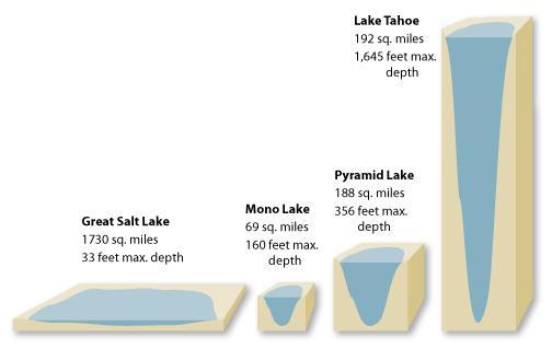 Hatch-a-Cyst the Great Salt Lake Great Salt Lake has a much greater surface-areato-volume ratio than other lakes in the region. As a result, a tremendous amount of water -- an average of 2.