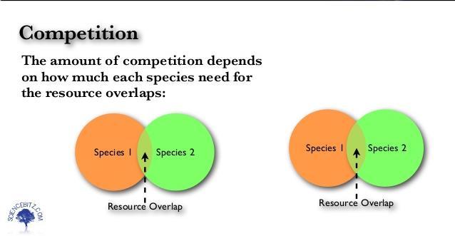 By causing species to divide resources, competition helps determine the number and kinds of species in a community and