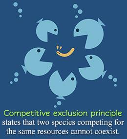 The Competitive Exclusion Principle The competitive exclusion principle states that no two species can occupy exactly the same niche in exactly the same habitat at exactly