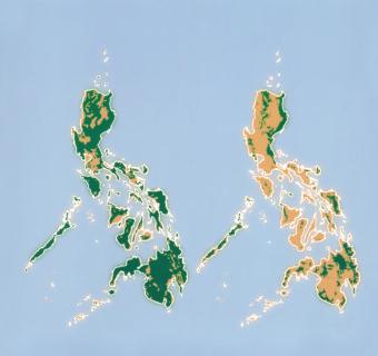 Forests Have Been Cleared for Human Use Between 1990 and 2000, the Philippines lost more than 800,000 hectares of forests to clearing for agriculture, forest fires, illegal logging, and other factors.