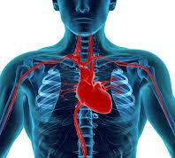 Development of Nanosensor for Heart Monitoring