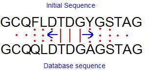 The set of hits found in the previous step (corresponding to the positions i = 1,2,3 of the initial sequence) are aligned against every database sequence.