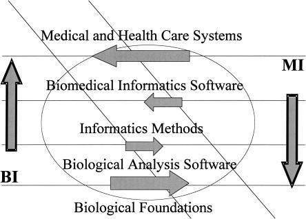 competition between medical informatics (MI) and