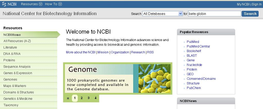 From the NCBI home page,
