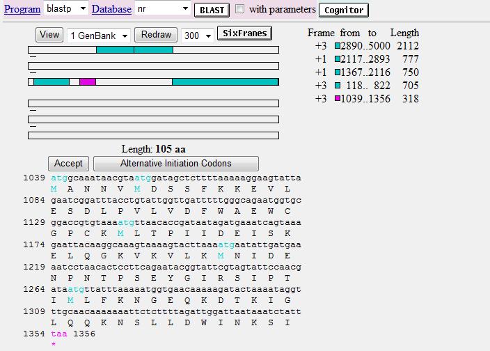 Tools for Nucleotide Sequences http://www.ncbi.nlm.nih.