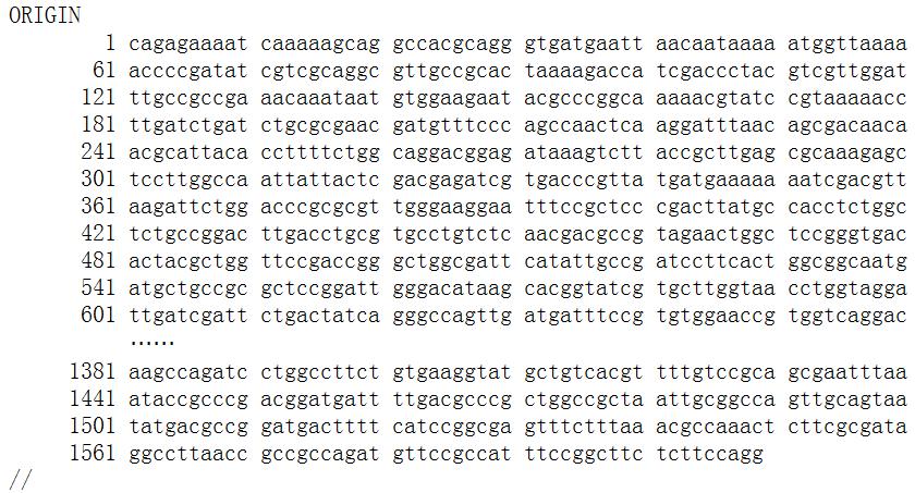 Nucleotide Databases X01714 http://www.ncbi.nlm.nih.gov/ The last section is the nucleotide sequence section.