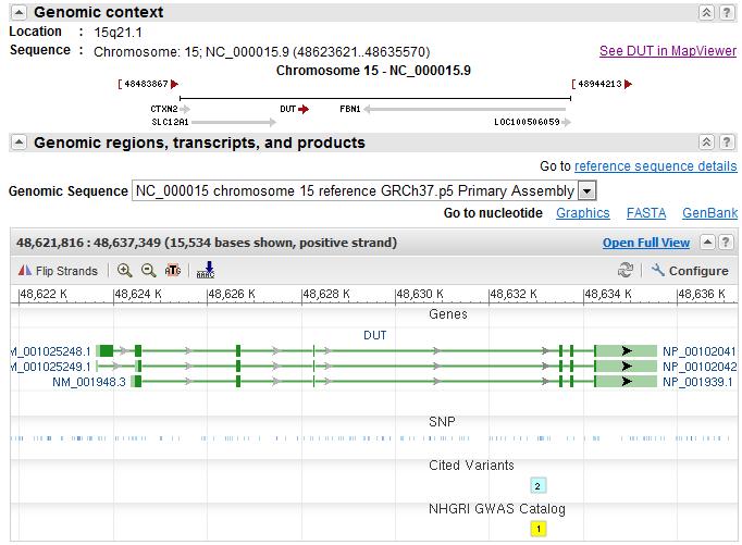 Nucleotide Databases Using a Gene-Centric Database DUT [gene] human [organism]