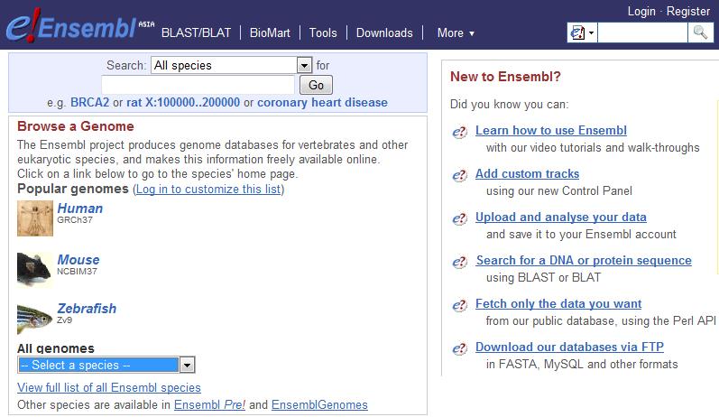 Nucleotide Databases http://www.ensembl.