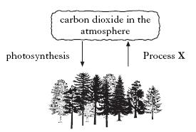 9. Forests are important in maintaining the level of carbon dioxide in the atmosphere. (a) Name process X. (b) The equation for photosynthesis is: Name compound Y.