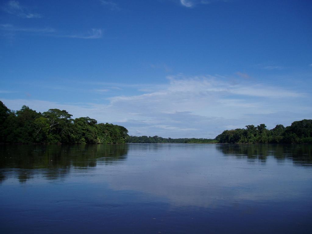 Ecological Implications of Erratic Floods in Large River Floodplains of the Andean Amazon Region Jorge E.