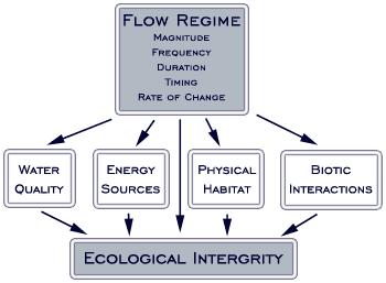 The Natural Flow Regime concept can be extended to Flood Regimes on floodplains Poff et al. 1997.