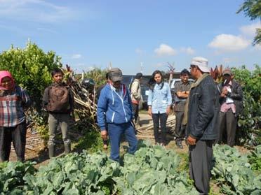 Coaching and support services for inclusion of small farmers in their supply chains for