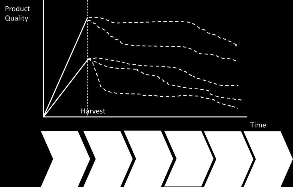 Importance of Initial product quality at harvest Higher product