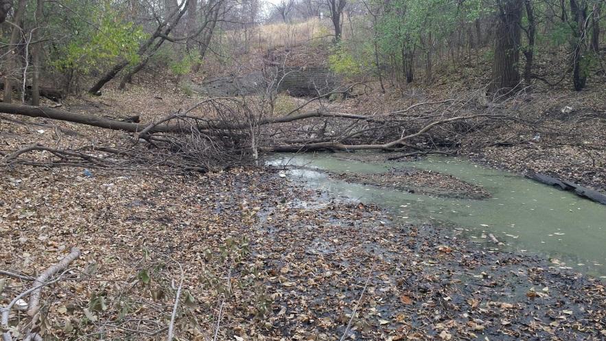 Total Estimated Cost: $500,000 Channel Restoration Restoration & Stabilization of Historic Bassett Creek Channel BC-9 This project in the City of Minneapolis will include bank stabilization and