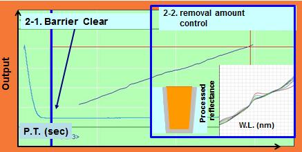 and Dielectric removal amount control In-situ monitoring