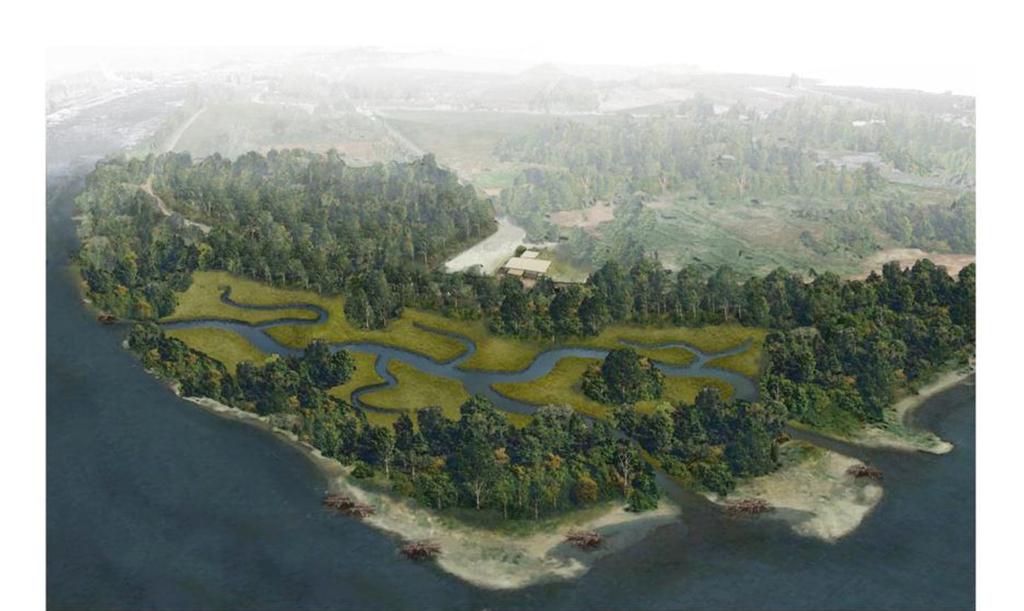 Portland Harbor Natural Resource Trustee Council Artist s rendering depicting what the Alder Creek site will look like after restoration.