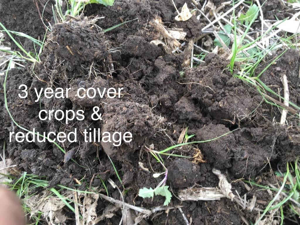 Below ground Results Soil
