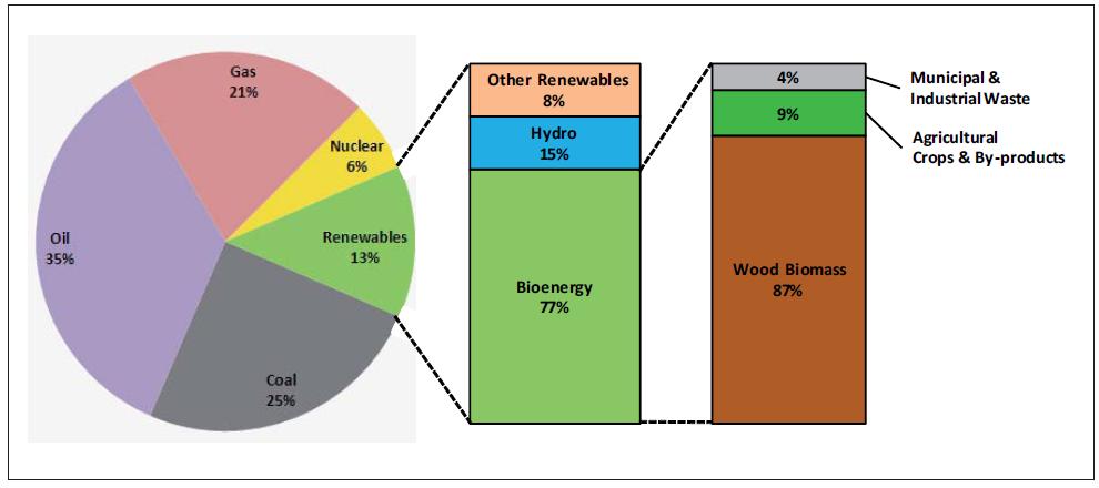 Share of bioenergy in the world primary