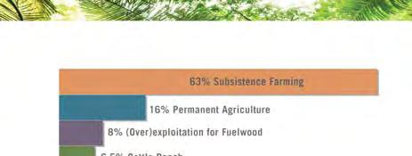 Causes of Deforestation Total Forests &