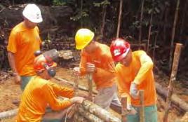 What is Reduced Impact Logging? Principal components of TFF Forest Management Training Program What is Reduced Impact Logging?