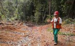 Partner globally to reward responsible forest managers Extra