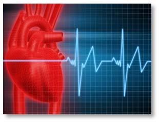 Cardiovascular System Regulatory Mechanisms Adrenergic Signaling in Cardiovascular Regulation Mechanisms of Gene Regulation: mirna and non