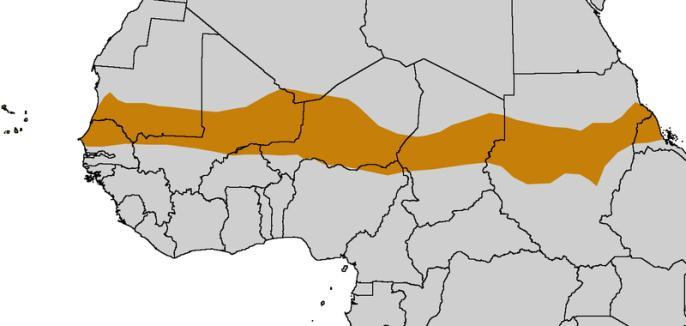 Sahel and Resilience What is Resilience?