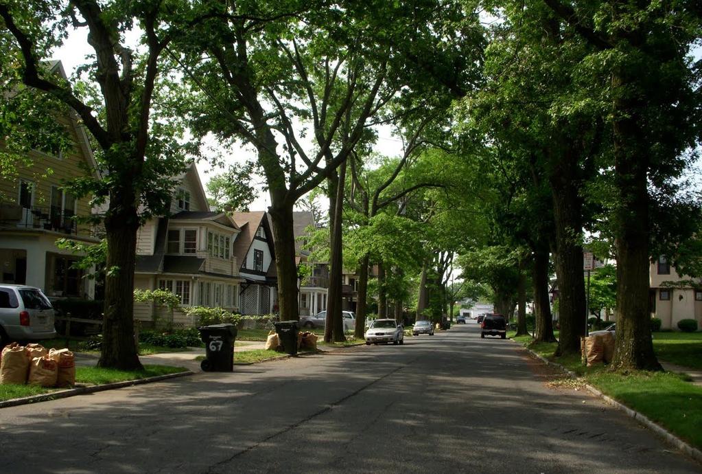 ecosystem services are provided by street trees, and that street trees have the capability to furnish both environmental and economic benefits.