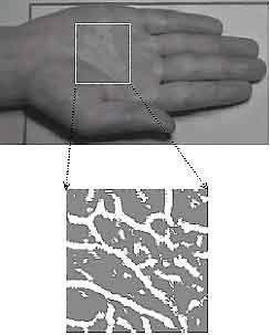 the client. Working of palm vein security systems One should place his/her palm near to scanner. Fig3.