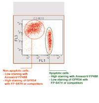 FP-647H FluoProbes 647H new Apoptosis induction by Kp-10 on Jurkat cells and use of FP-647H in flow cytometry detection.