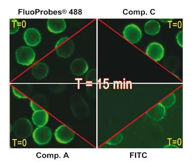 FP-488 FluoProbes