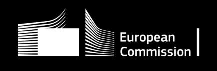 The European Commission s science and knowledge service Joint Research Centre Critical Raw Materials for the EU: Summary of
