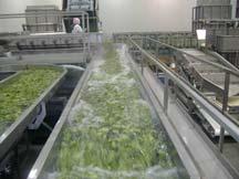 UC Postharvest Technology of Horticultural