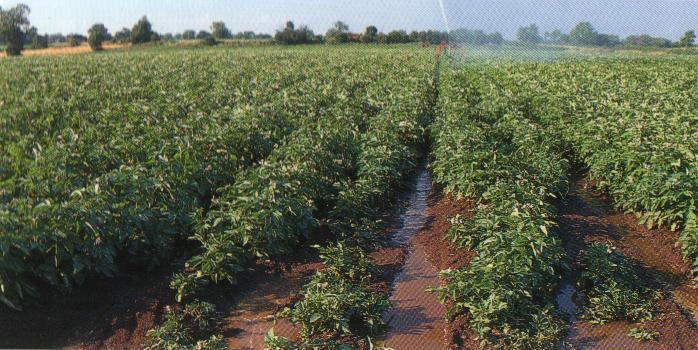 Preventing Irrigation Runoff (comparing irrigation application rate to